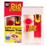 TRAP MOUSE M/CATCH BC