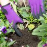 *GLOVE WEEDMASTER 273M PURPLE