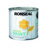 G PAINT SUNDIAL 750ML RONSEAL