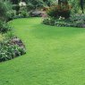 GREENSCAPE LAWN 5KG MASTERLINE