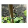 *RING PLANT PLASTIC COATED 25