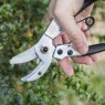 ANVIL PRUNER COMPACT