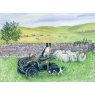 CARD QUAD BIKE