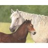 CARD FLEABITTEN HORSE & FOAL