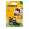 HOZELOCK Hozelock Spare Hose Fitting Kit 2299
