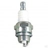 NGK NGK Spark Plug