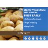 SEED POTATO ROCKET 2KG