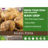 POTATO SEED MARIS PIPER 2KG