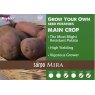SEED POTATO SARPO MIRA 2KG
