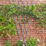 FAN TRELLIS EXP 1.8X0.9M GREY