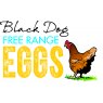 Black Dog Free Range Eggs