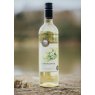 WINE ELDERFLOWER 75CL