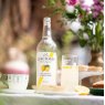 Luscombe Sicilian Lemonade