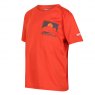 Regatta Regatta Alvarado T-Shirt Rust