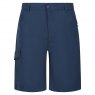 Regatta Regatta Sorcer Shorts Blue