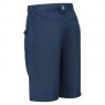 Regatta Regatta Sorcer Shorts Blue