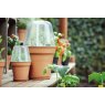 Elho Growpot Mild Terracotta