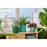 Elho Ocean Collection Round Pot Pacific Green