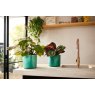 Elho Ocean Collection Round Pot Pacific Green