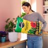 Miracle Gro Houseplant Potting Mix 10L