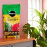 Miracle Gro Houseplant Potting Mix 10L