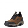 *SHOE TERRAIN 8 DIST BROWN