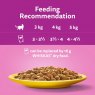 Whiskas Whiskas 1+ Poultry Feasts In Gravy 12 x 85g