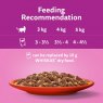 Whiskas Whiskas 1+ Meaty Meals In Jelly 12 x 85g