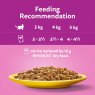 Whiskas Whiskas 7+ Poultry Feasts In Gravy 12 x 85g