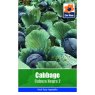 CABBAGE CABEZA NEGRA 2 SEEDS