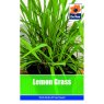 LEMON GRASS SEEDS