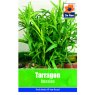 TARRAGON (RUSSIAN) SEEDS