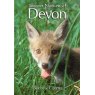 BOOK SECRET NATURE OF DEVON