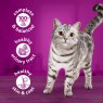 Whiskas Whiskas 1+ Meaty Menu in Jelly 6 x 400g