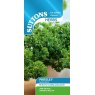 SEED PARSLEY GRUNE PERLE