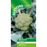 SEED BROCCOLI BLUE FINN F1 SEED BROCCOLI BLUE FINN F1
