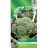 SEED BROCCOLI MONCLANO F1