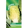 SEED CABBAGE SUMMER JEWEL F1 SEED CABBAGE SUMMER JEWEL F1