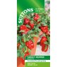 SEED PEPPER SWEET REDSKIN F1