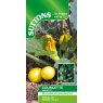 SUTTONS Suttons Two Ball Courgette Mix F1 Seeds