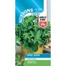 SEED HERB BASIL BUSH