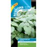 SEED HERB LEMON BALM MANDARINA