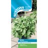 SEED HERB BASIL FLORAL SPIRES WHT