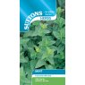 SEED HERB MINT