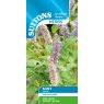 SEED HERB KOREAN MINT