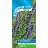SUTTONS Suttons Blue Hyssop Herb Seeds