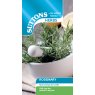 SEED HERB ROSEMARY