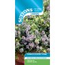 THYME ORANGE SCENTED