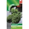 SEED CURLY KALE DWARF GREEN