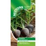 SEED RADISH BLACK SPANISH ROUND